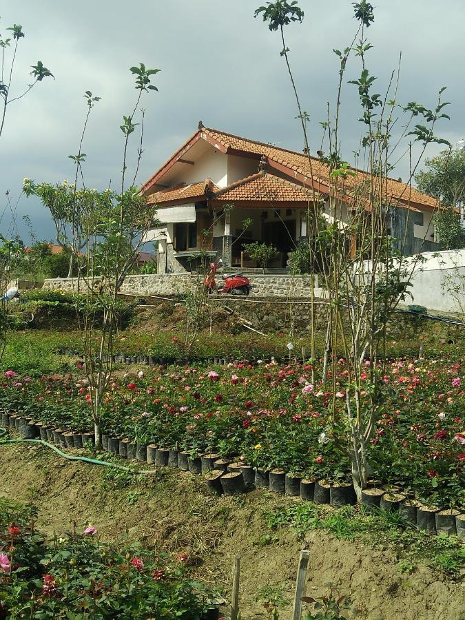 Shanty'S House Бату Экстерьер фото